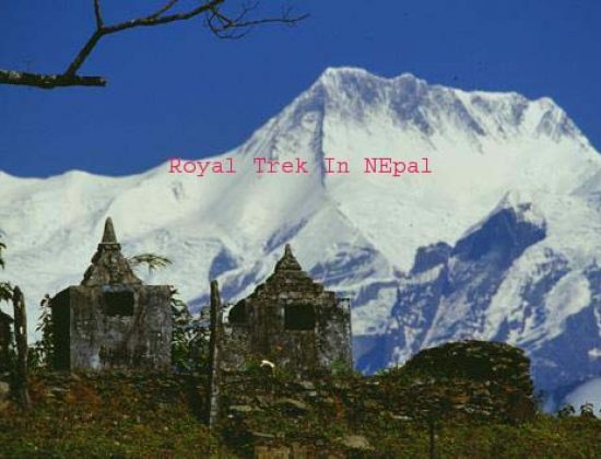 Essence Tours and Travels & Treks and Expedition Pvt. LTD.
