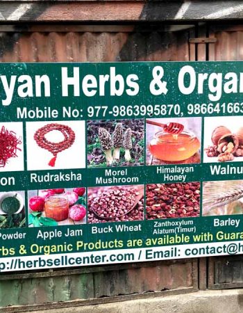 Himalayan Herbs & Organic Center