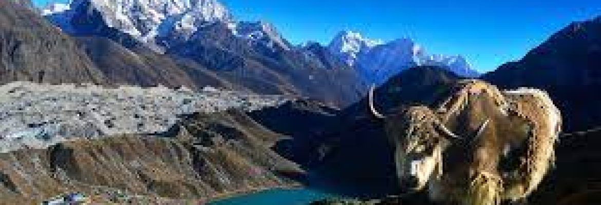 Lekbesi Nepal Tour Agency